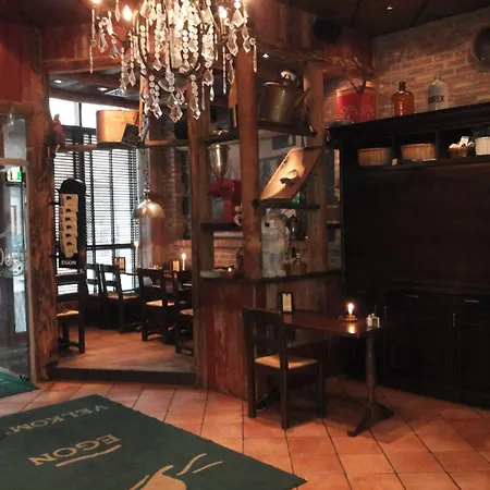 酒店 松恩城市酒店 4*